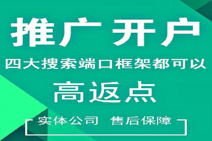 竞价推广代运营服务效果展示